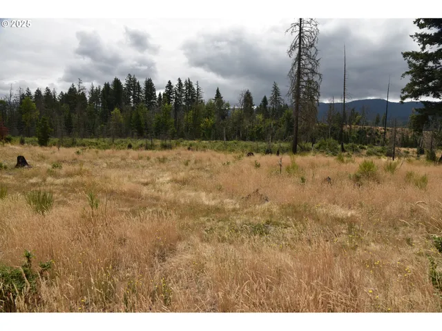 a view of outdoor space and mountain view
