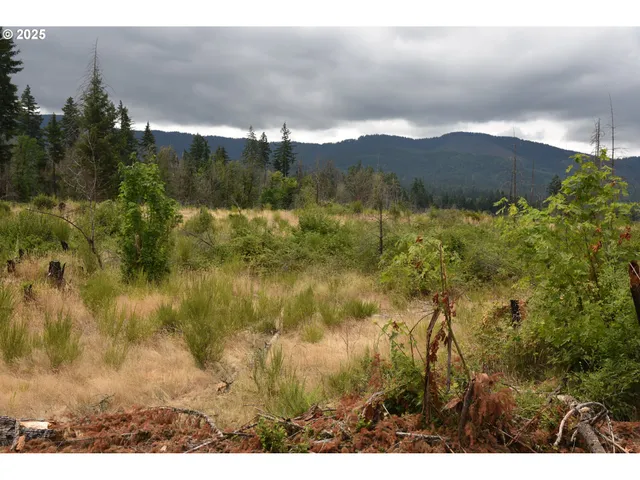 a view of a town with mountains