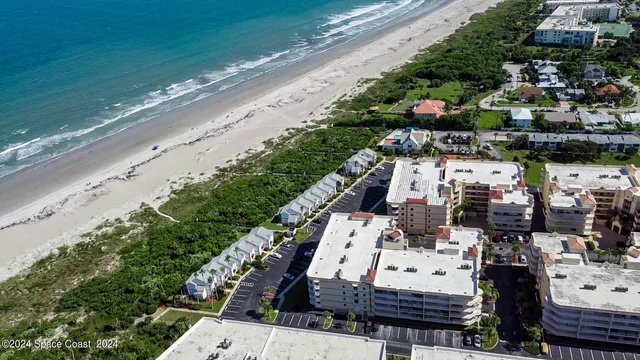 a view of a garden with a pathway