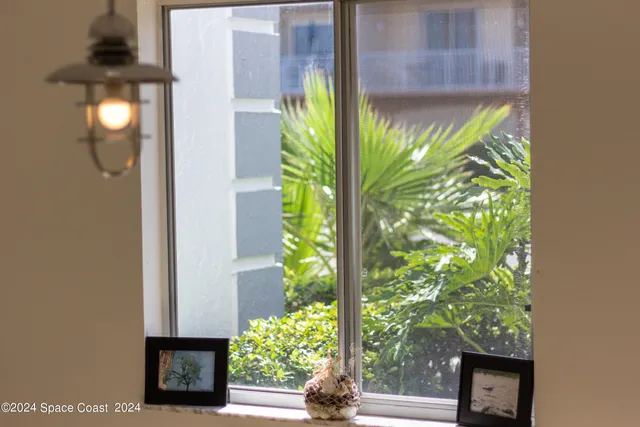 a view of a window in the yard