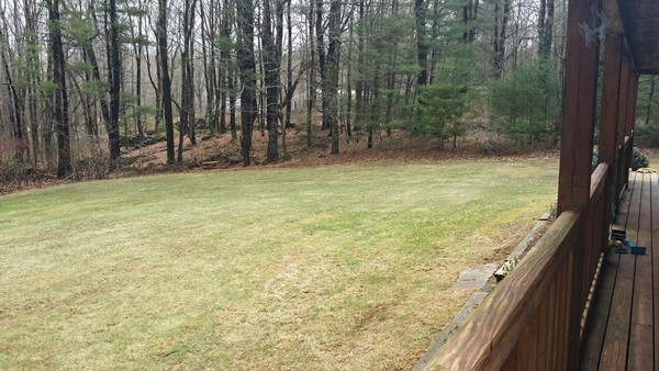 1 Breakneck Road Sturbridge, MA 01566 - Photo 6 of 30 a view of a room with potted plants and wooden fence