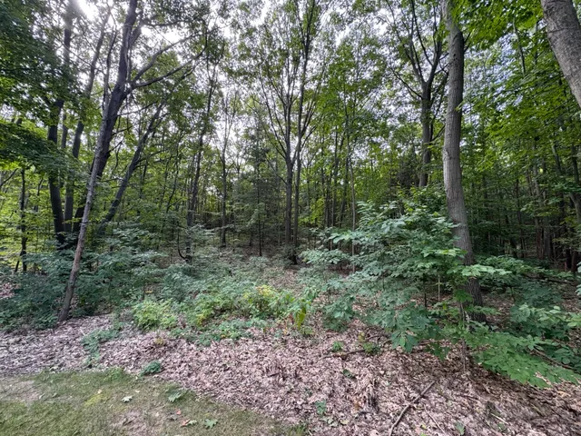 $1,980,000 | 76757 Wood Crst Court, South Haven, MI 49090