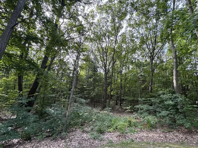 $1,980,000 | 76757 Wood Crst Court, South Haven, MI 49090