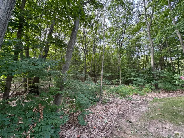 $1,980,000 | 76757 Wood Crst Court, South Haven, MI 49090