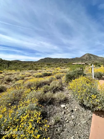 $3,999,500 | 14339 East Desert Tortoise Trail, Fountain Hills, AZ 85268