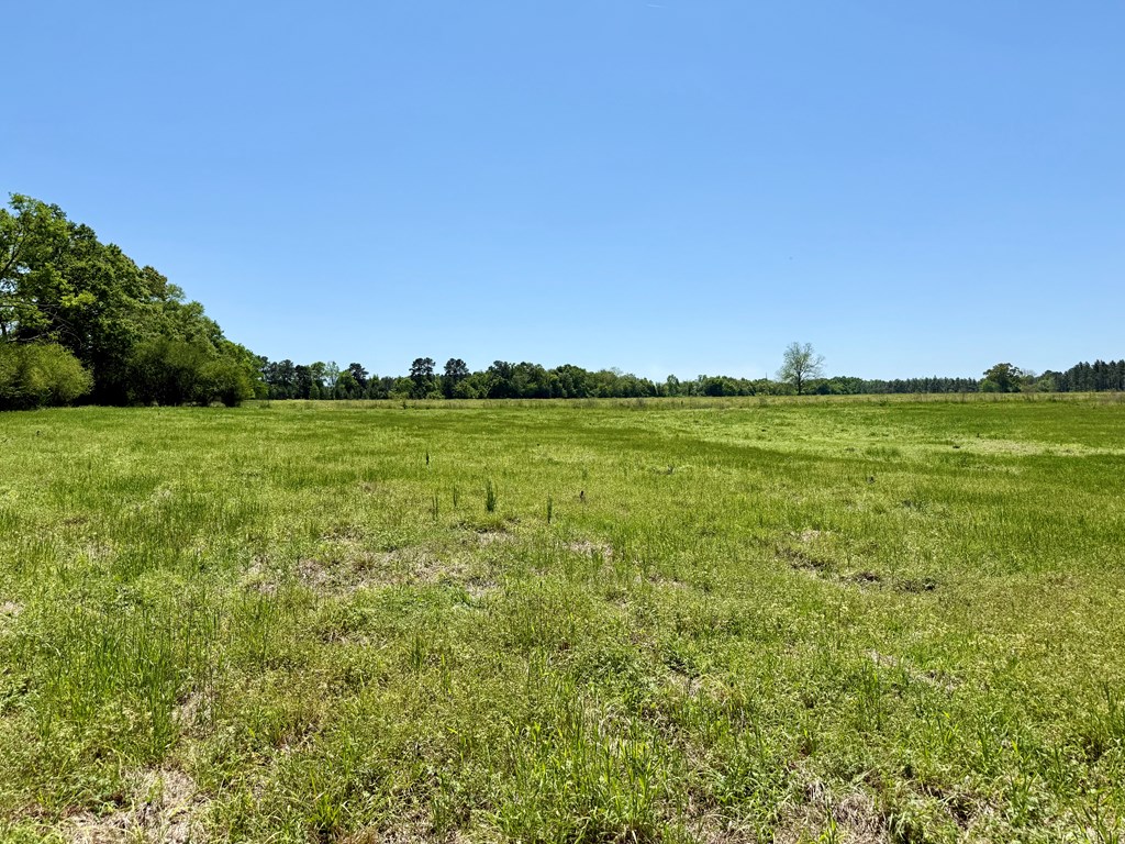 12.37-acres Huskey Road Dothan, AL 36303 - Photo 4 of 16
