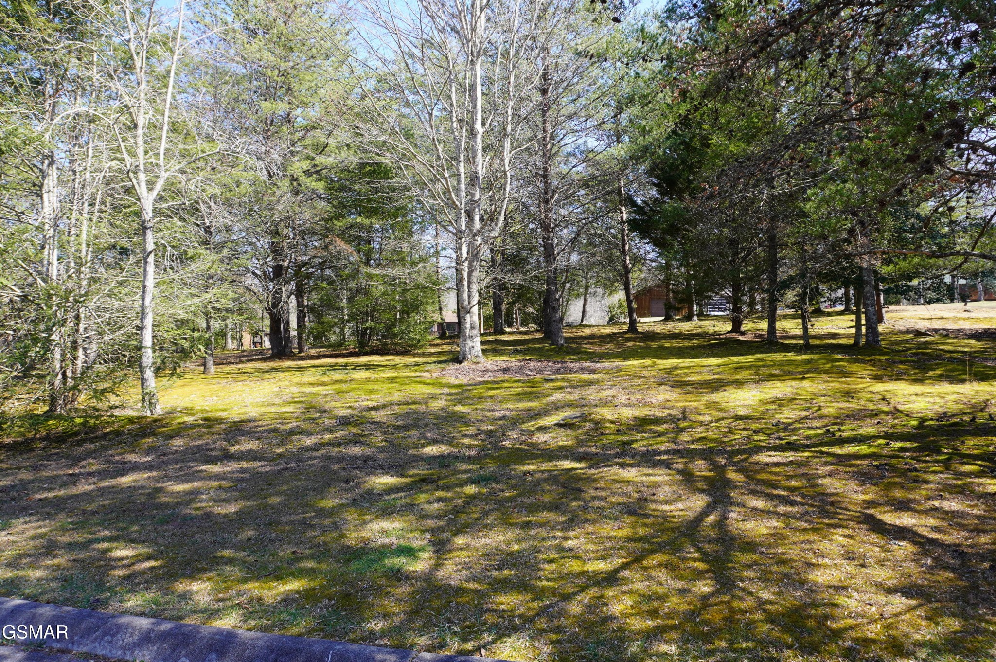 19 Rhododendron Trail Cosby, TN 37722 - Photo 12 of 18 Gallery Image 12