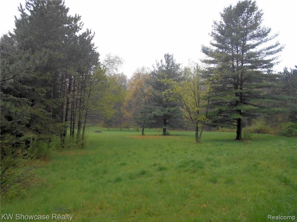 5464 Blood Road Metamora, MI 48455 - Photo 3 of 14