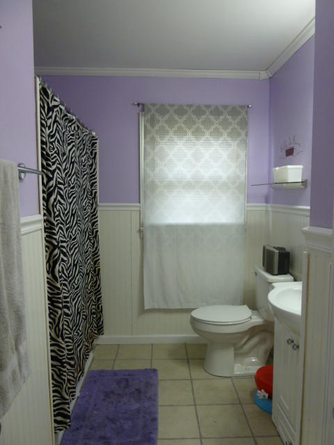 8029 Powell Heights Road Powell, TN 37849 - Photo 9 of 12 P1170600