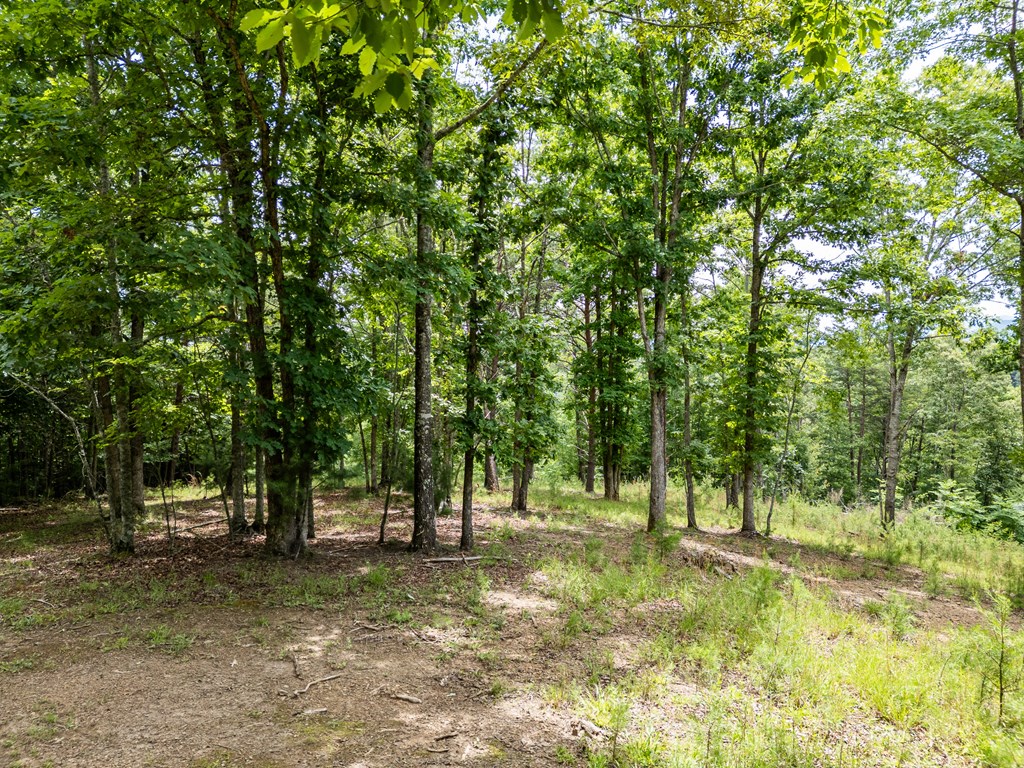 1 Stormy Ridge Brasstown, NC 28902 - Photo 5 of 20