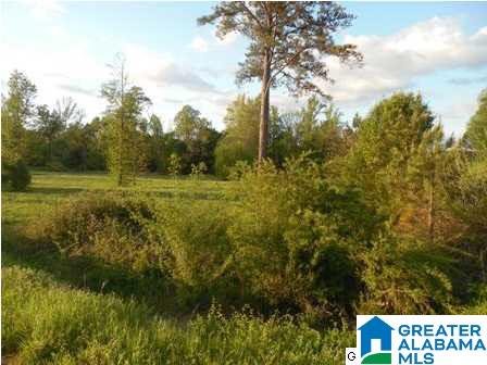 0 Curry Station Road, Unit 1 Munford, AL 36268 - Photo 13 of 14