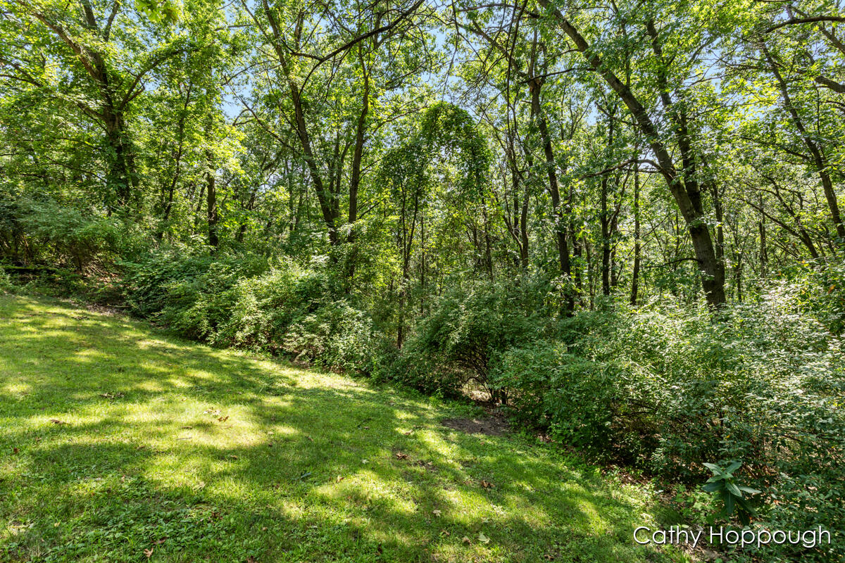 735 Prairie Creek Road Ionia, MI 48846 - Photo 66 of 77 IMG_1066