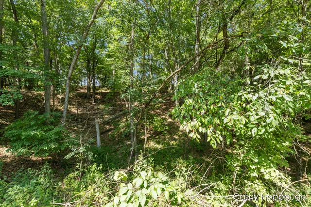 $700,000 | 735 Prairie Creek Road, Ionia, MI 48846