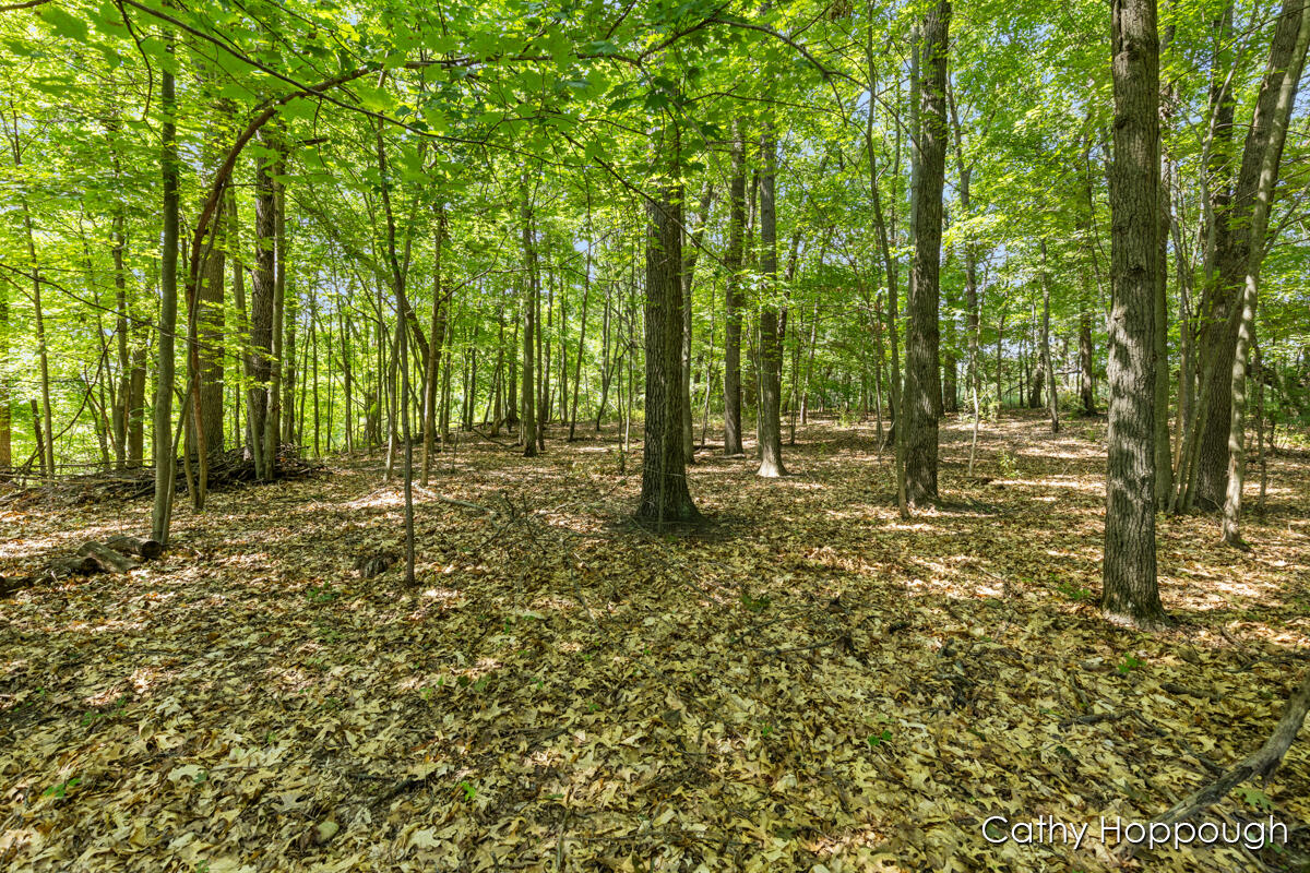 735 Prairie Creek Road Ionia, MI 48846 - Photo 70 of 77 IMG_1070