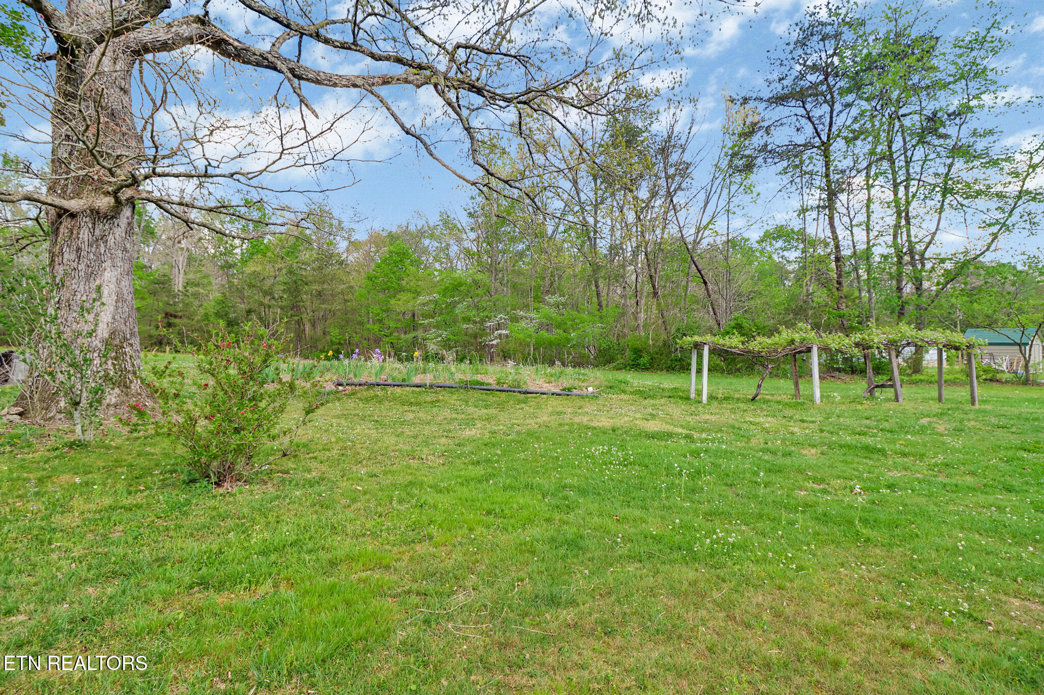 1243 Franklin Loop, Unit 5 ACRES Clarkrange, TN 38553 - Photo 31 of 32 if1a8745-if1a8749