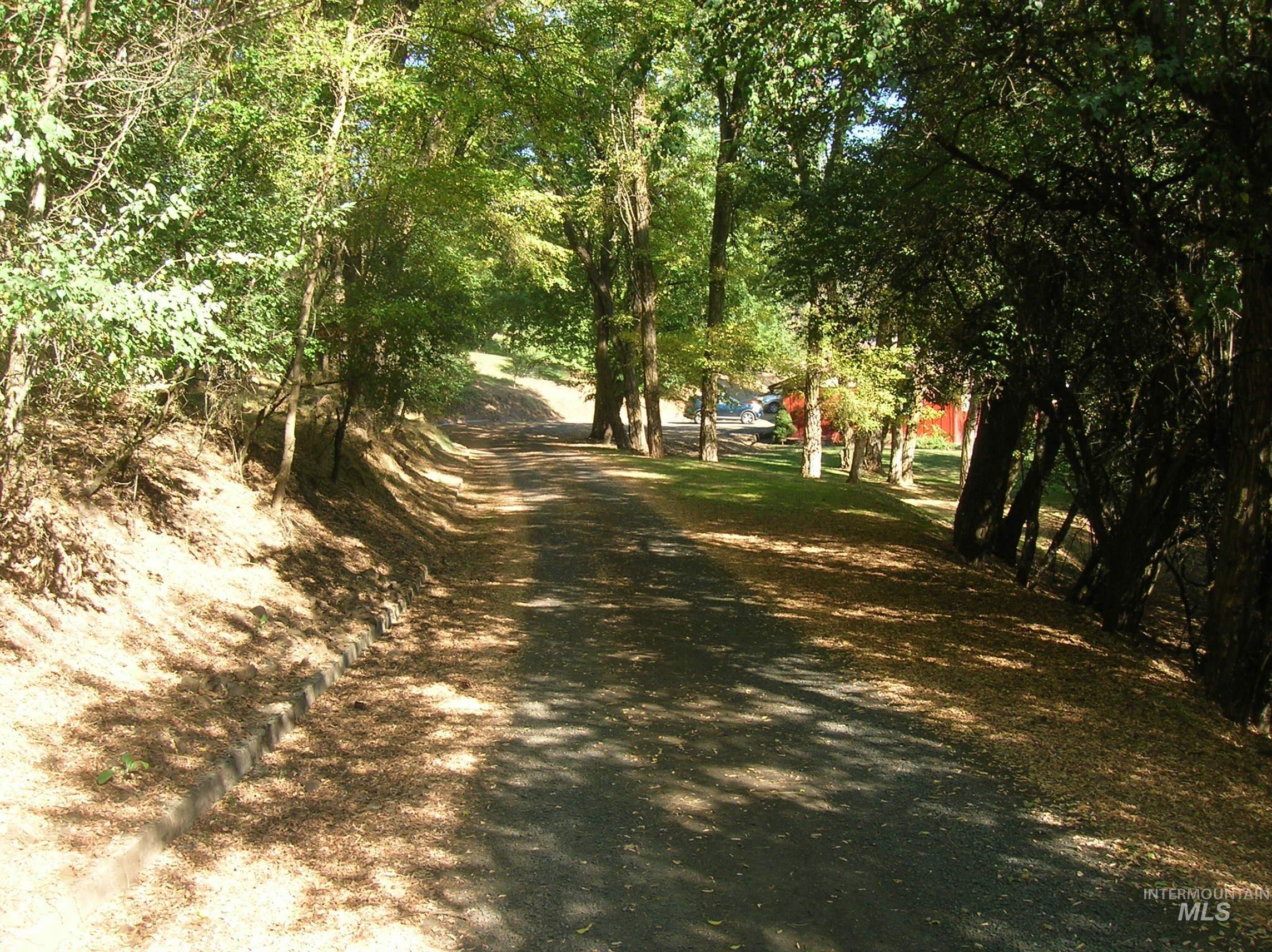 307 Locust Road Kamiah, ID 83536 - Photo 3 of 50 Paved driveway with mature trees and natural landscaping