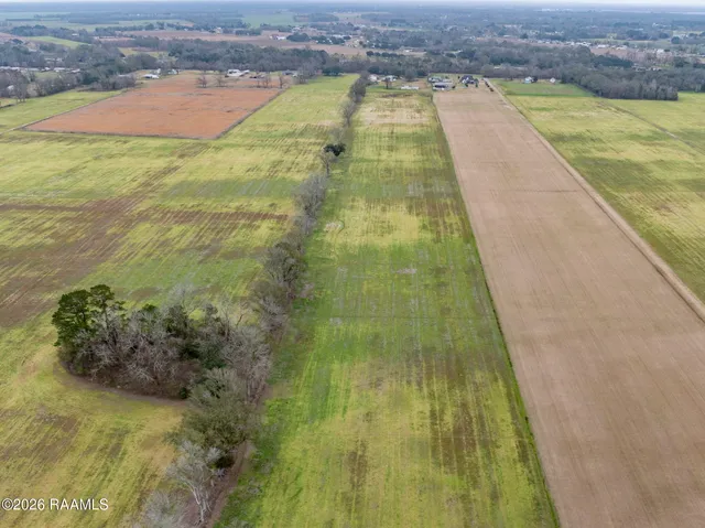 $550,000 | Tbd Oscar Rivette Road, Arnaudville, LA 70512