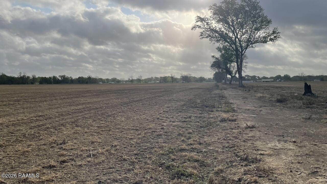 Tbd Oscar Rivette Road Arnaudville, LA 70512 - Photo 13 of 32 IMG_0142 Large