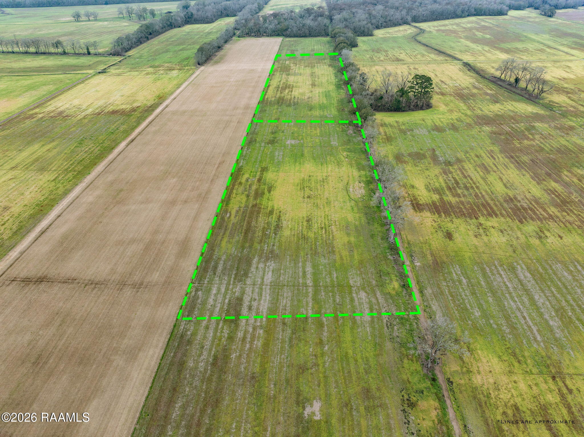 Tbd Oscar Rivette Road Arnaudville, LA 70512 - Photo 18 of 32 9-web-or-mls-DJI_20260124031912_0687_D-E