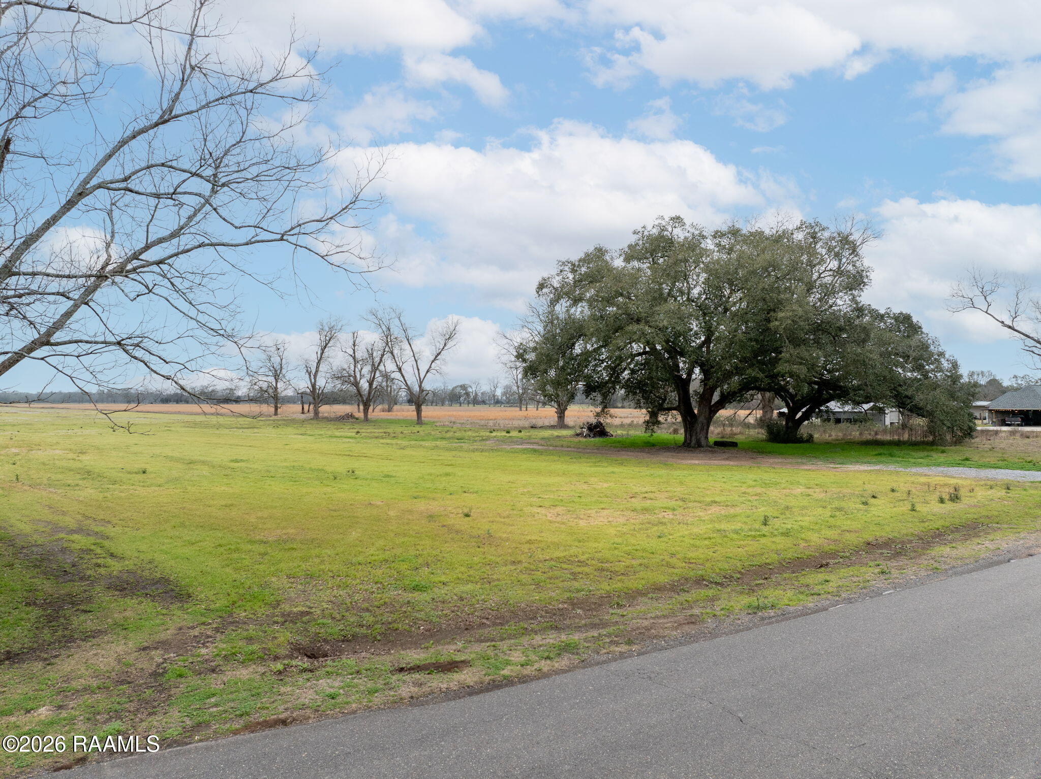 Tbd Oscar Rivette Road Arnaudville, LA 70512 - Photo 5 of 32 1-web-or-mls-DJI_20260124025701_0653_D-E