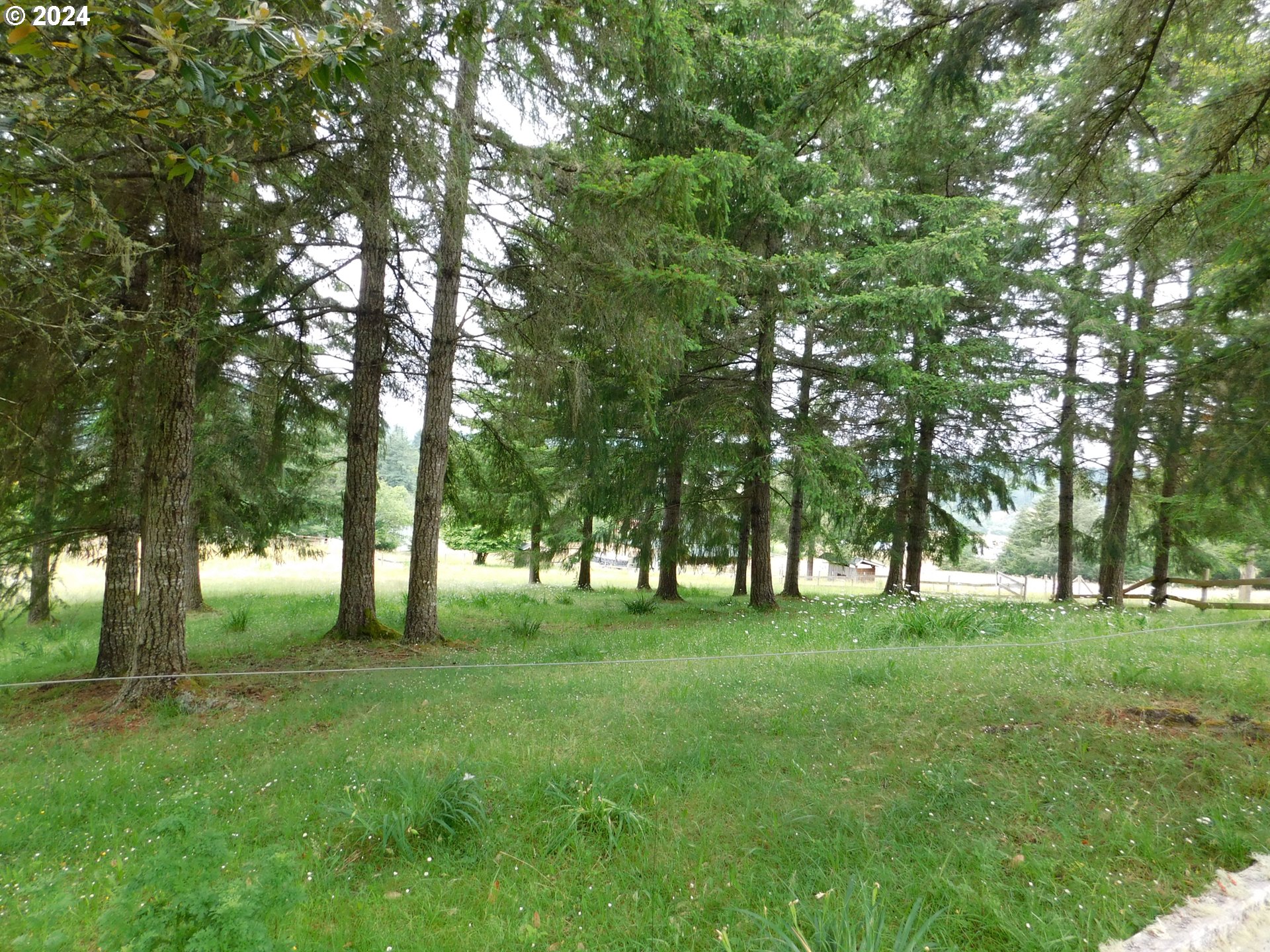 94792 Parsonage Lane Broadbent, OR 97414 - Photo 11 of 48 Gallery Image 11