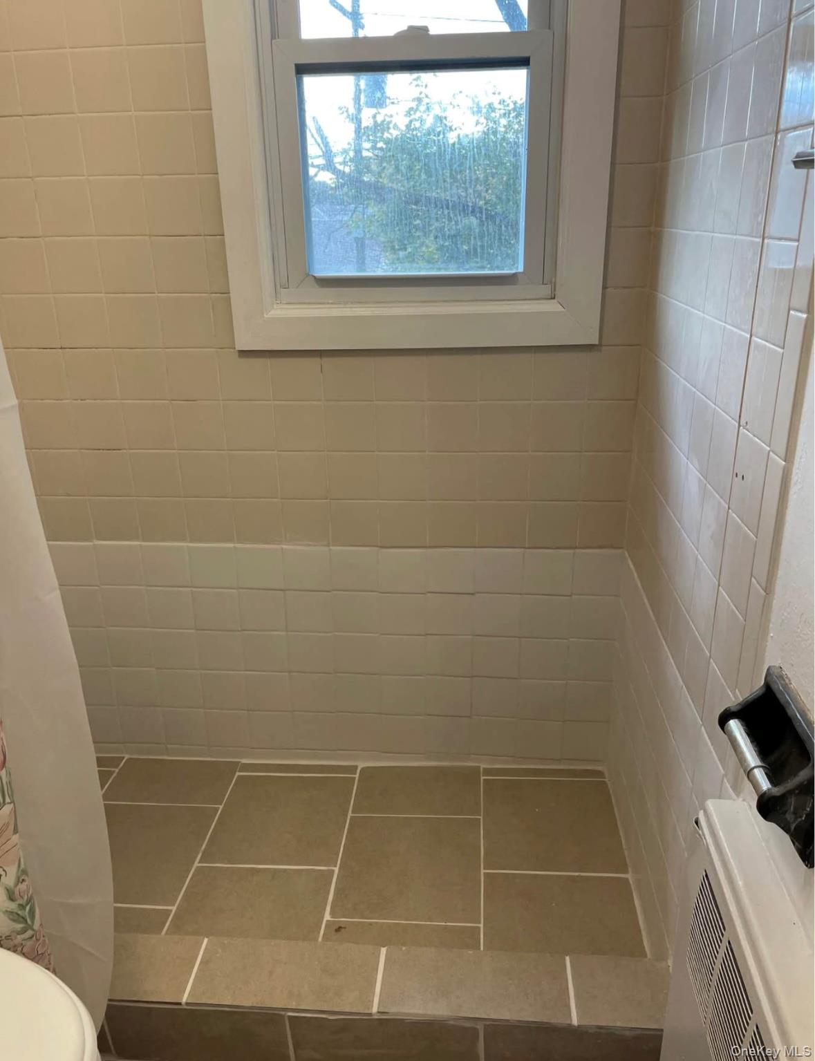 32 Winding Road Hicksville, NY 11801 - Photo 10 of 12 a bathroom with a sink and a shower