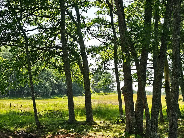 $1,975,000 | 150 Heath Road, Bremen, ME 04551