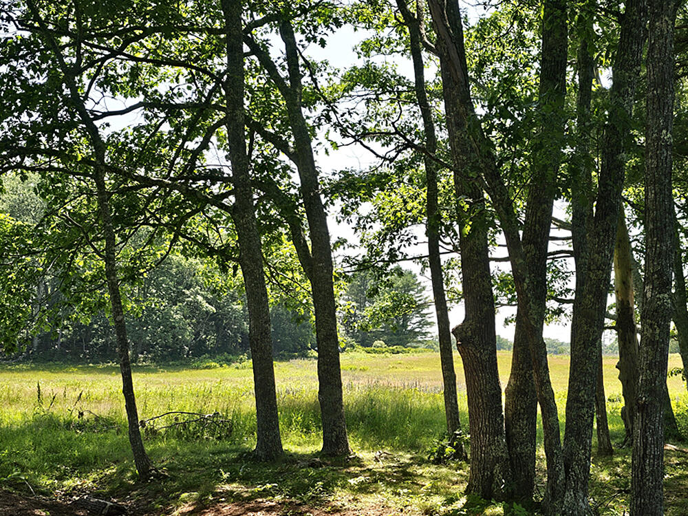 150 Heath Road Bremen, ME 04551 - Photo 14 of 95 Broad Cove Woods-1