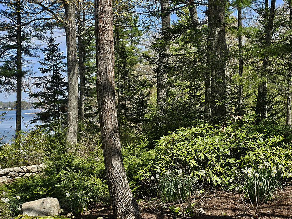 150 Heath Road Bremen, ME 04551 - Photo 15 of 95 Broad Cove Woods-2