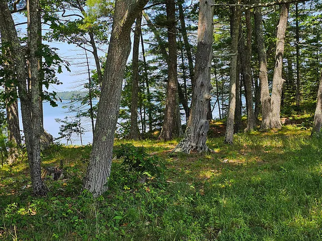 $1,975,000 | 150 Heath Road, Bremen, ME 04551