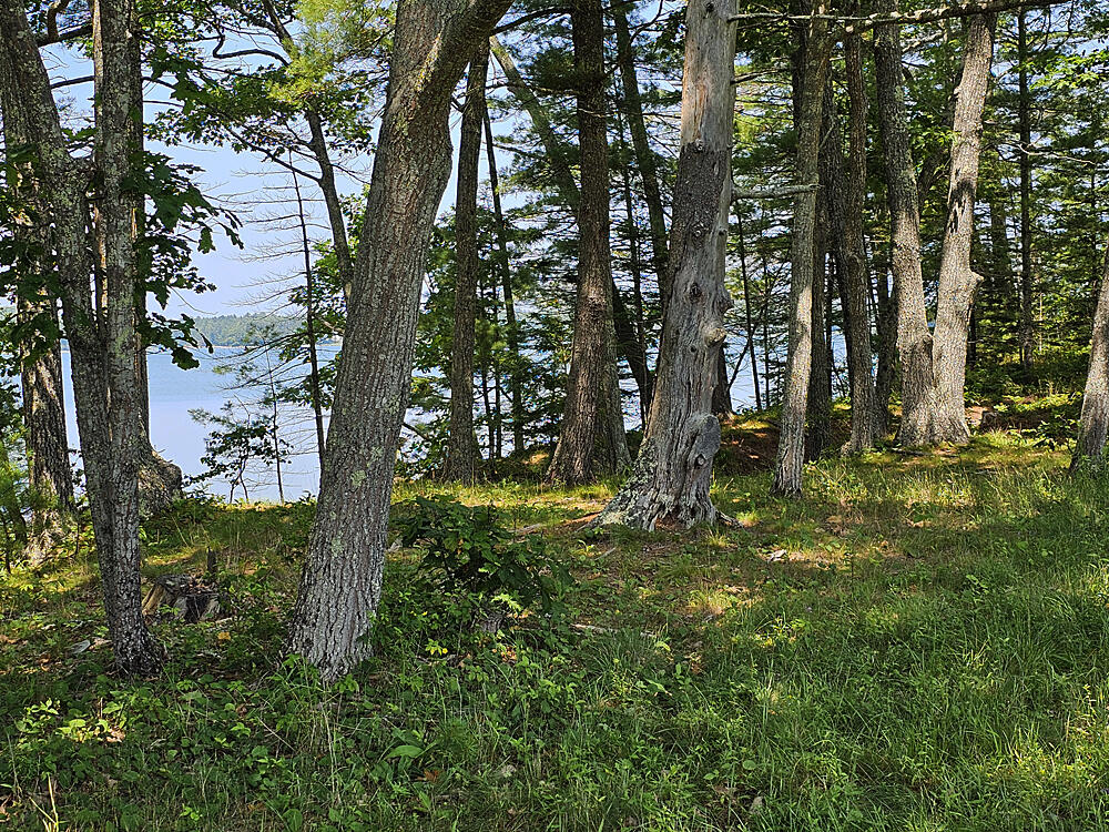 150 Heath Road Bremen, ME 04551 - Photo 16 of 95 Broad Cove Woods-3