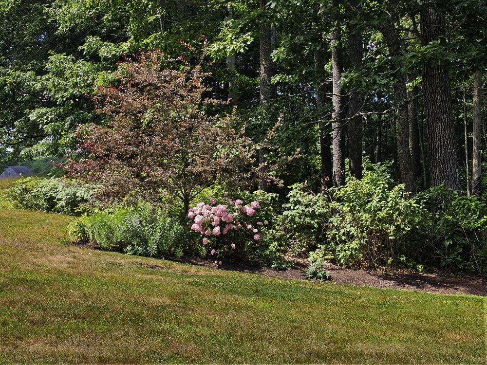 150 Heath Road Bremen, ME 04551 - Photo 78 of 95 Gardens 4