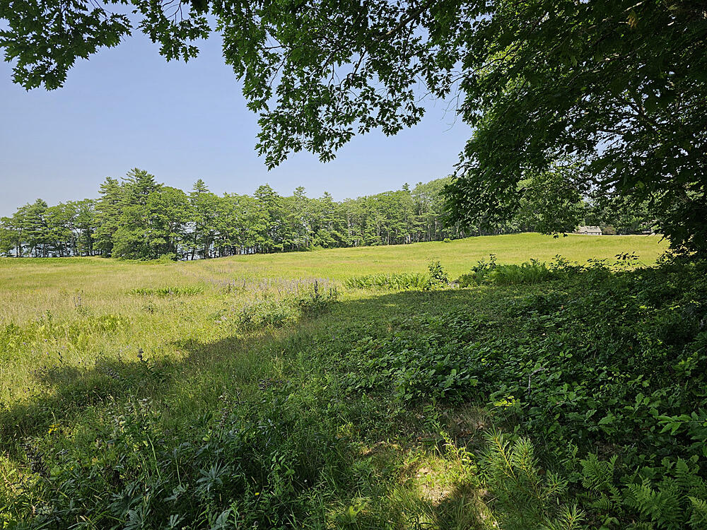 150 Heath Road Bremen, ME 04551 - Photo 91 of 95 Meadow-1