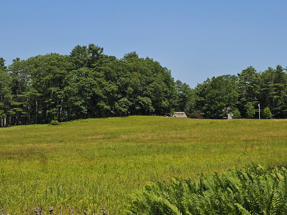 150 Heath Road Bremen, ME 04551 - Photo 92 of 95 Meadow-2
