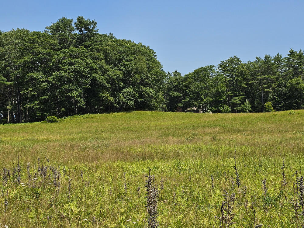150 Heath Road Bremen, ME 04551 - Photo 93 of 95 Meadow-3