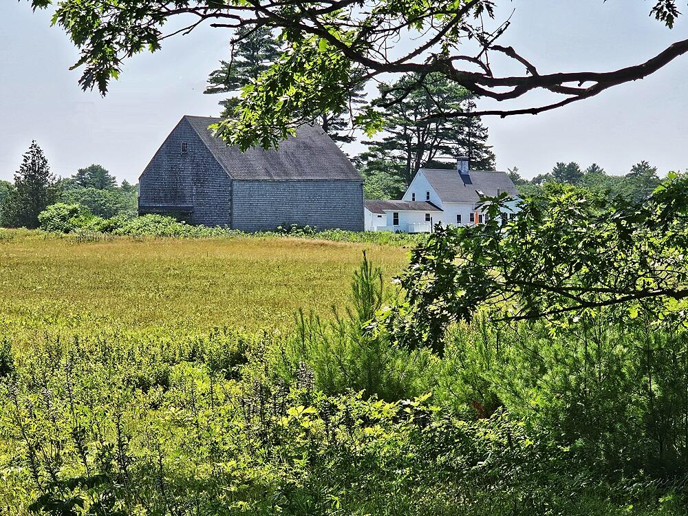 150 Heath Road Bremen, ME 04551 - Photo 94 of 95 Meadow-4