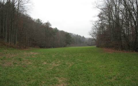 Lot 3 Old Bucktown Road Ellijay, GA 30536 - Photo 1 of 1 Main View