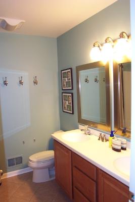 8311 Eagle Ridge Spring Grove, IL 60081 - Photo 13 of 16 a bathroom with a sink a toilet and mirror