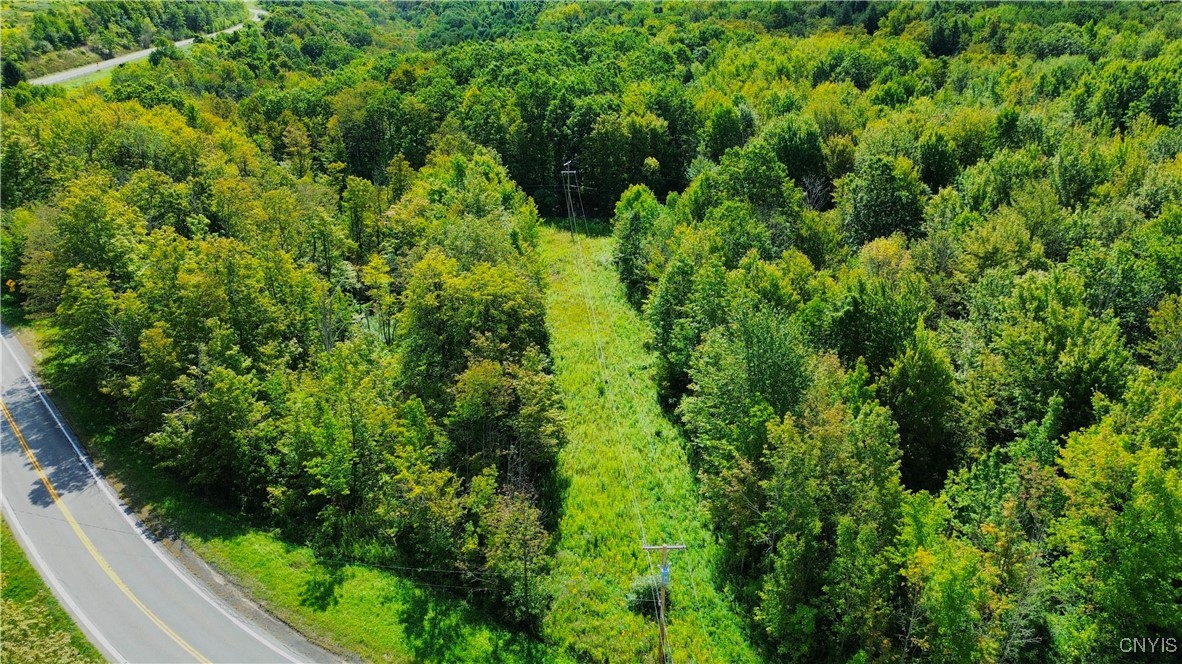 Lot 5-5 Paines Hollow Road Mohawk, NY 13407 - Photo 3 of 8