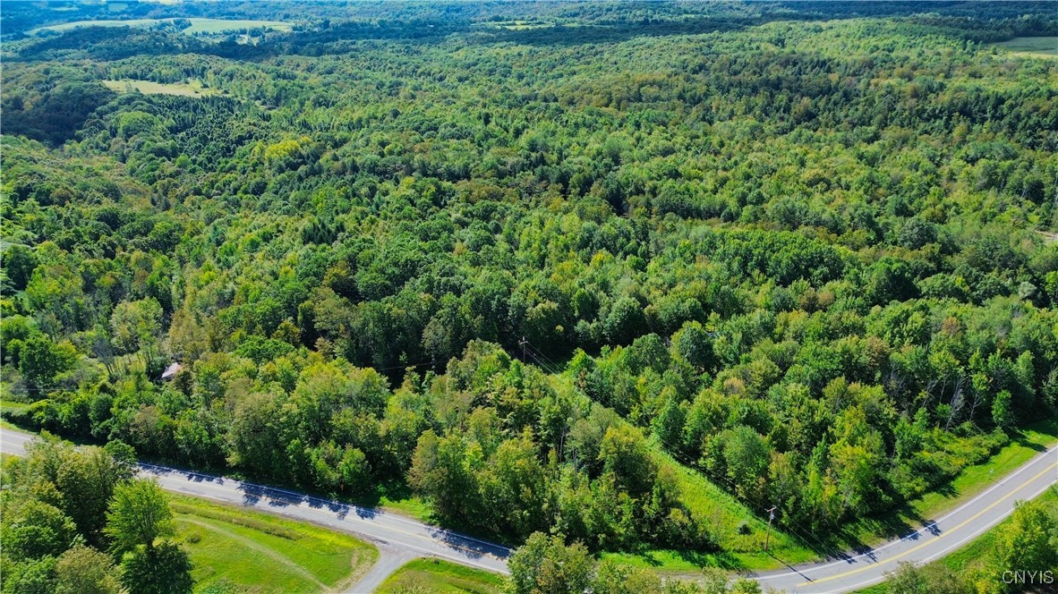 Lot 5-5 Paines Hollow Road Mohawk, NY 13407 - Photo 6 of 8