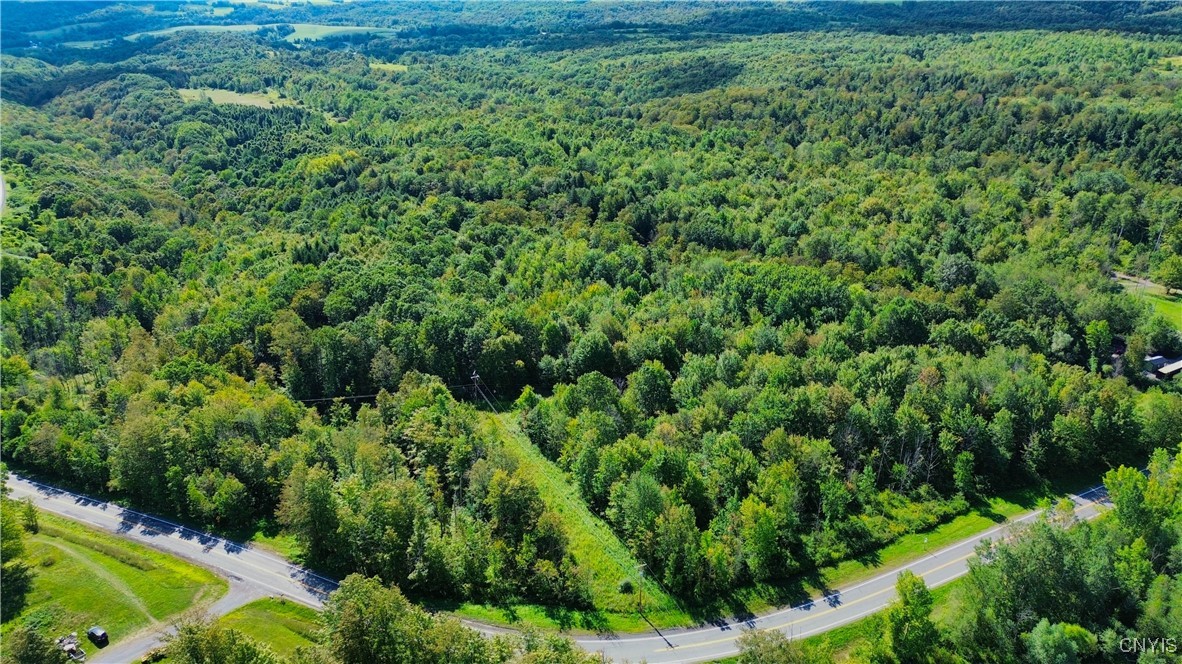 Lot 5-5 Paines Hollow Road Mohawk, NY 13407 - Photo 7 of 8