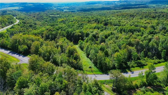 $57,500 | Lot 5-5 Paines Hollow Road, Mohawk, NY 13407