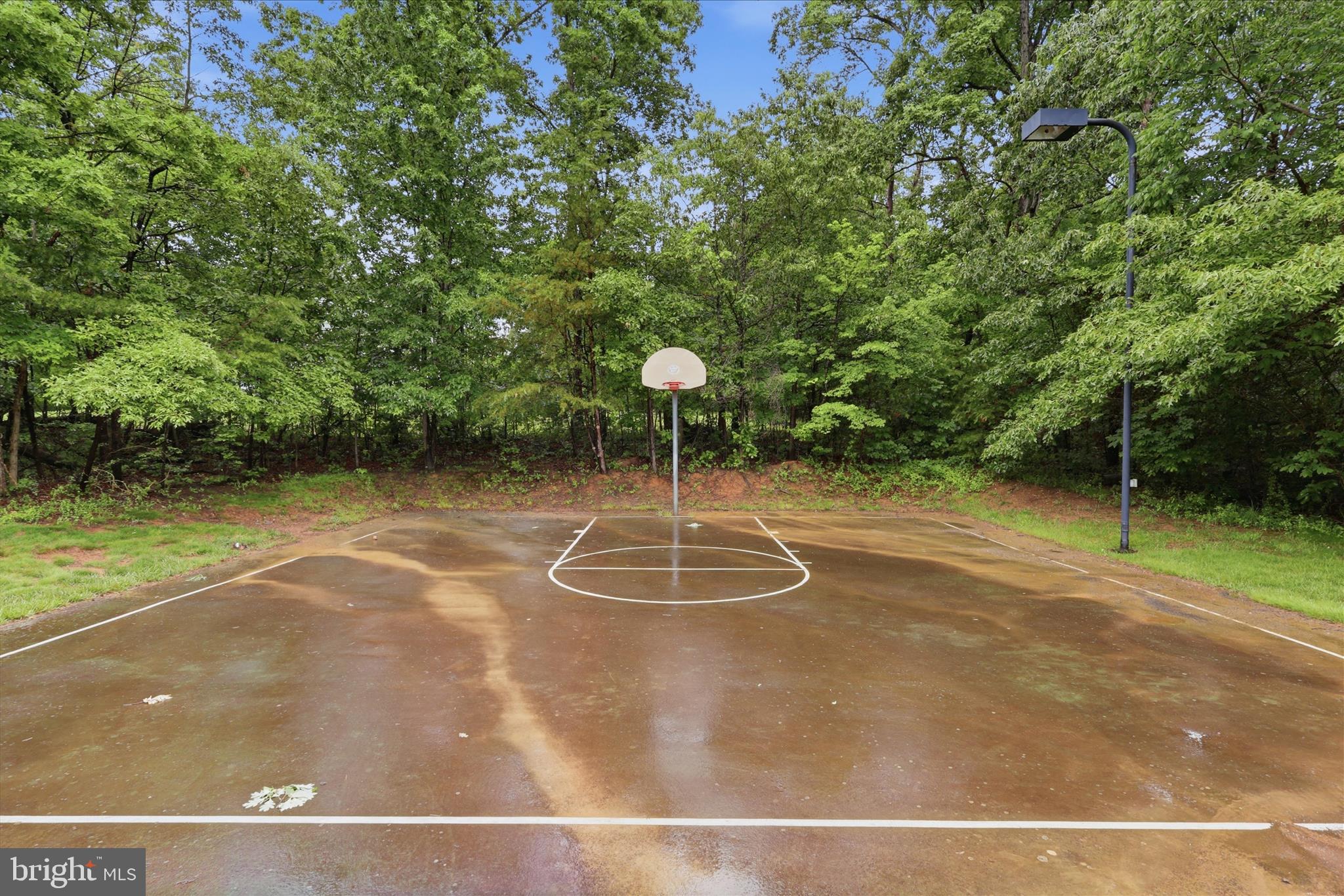 8277 Roxborough Loop Gainesville, VA 20155 - Photo 73 of 84 Basketball Courts