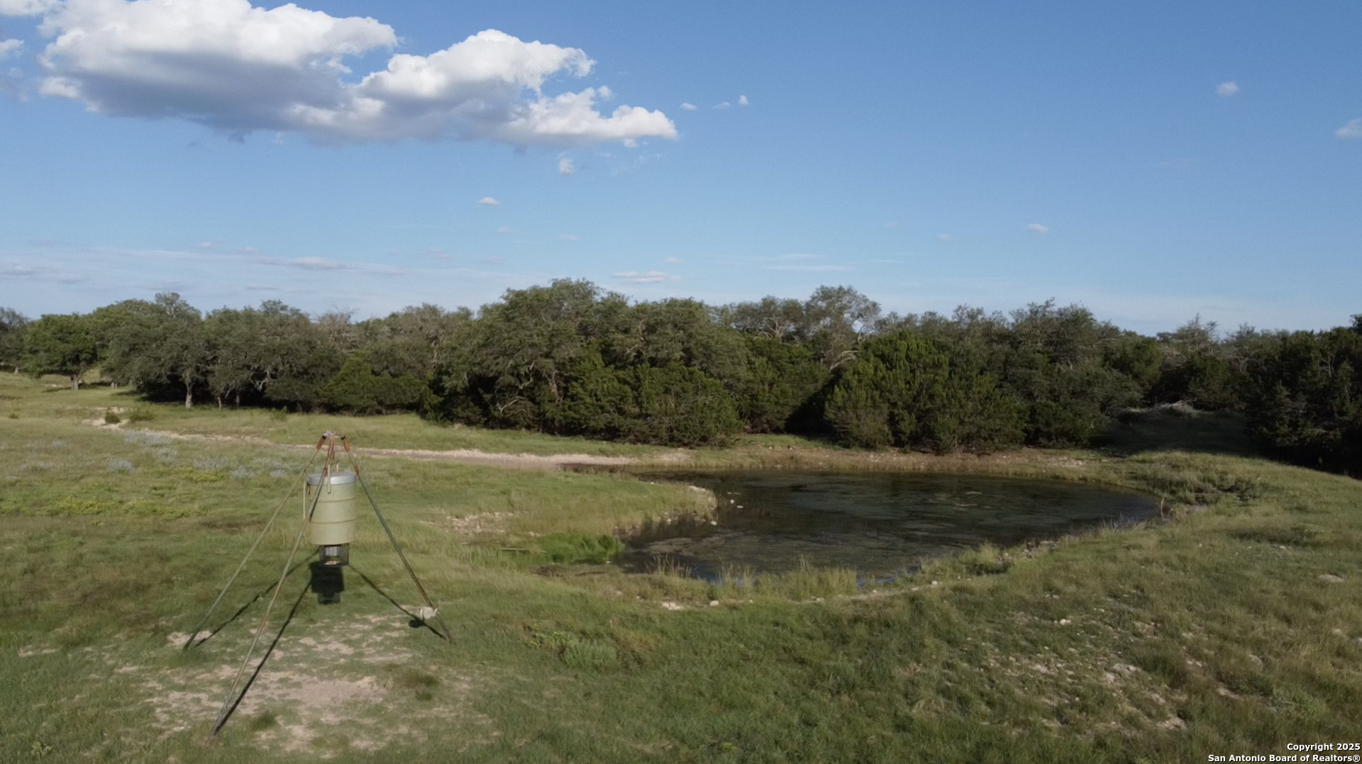 1540 Rough Rider Road Junction, TX 76874 - Photo 14 of 31 a backyard of a house with lots of green space