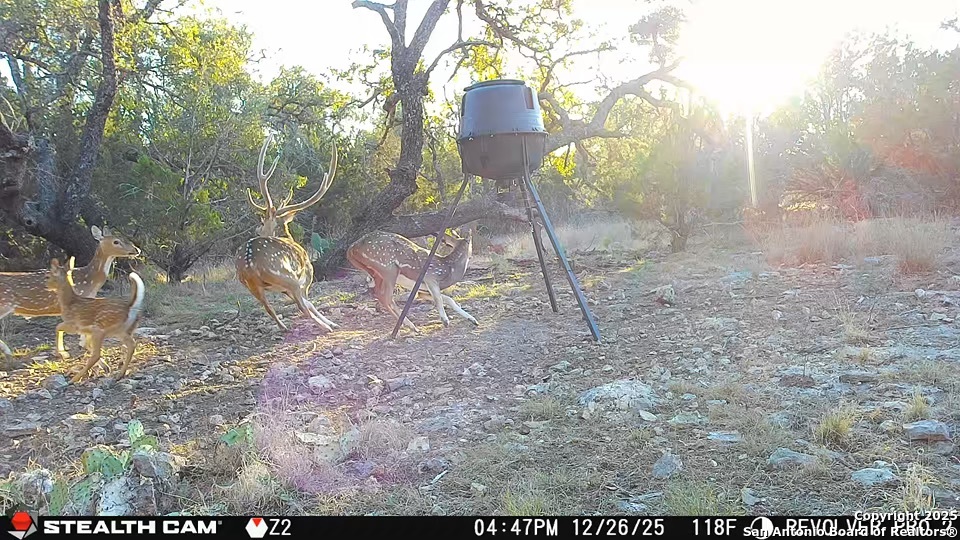 1540 Rough Rider Road Junction, TX 76874 - Photo 22 of 35 a view of a yard