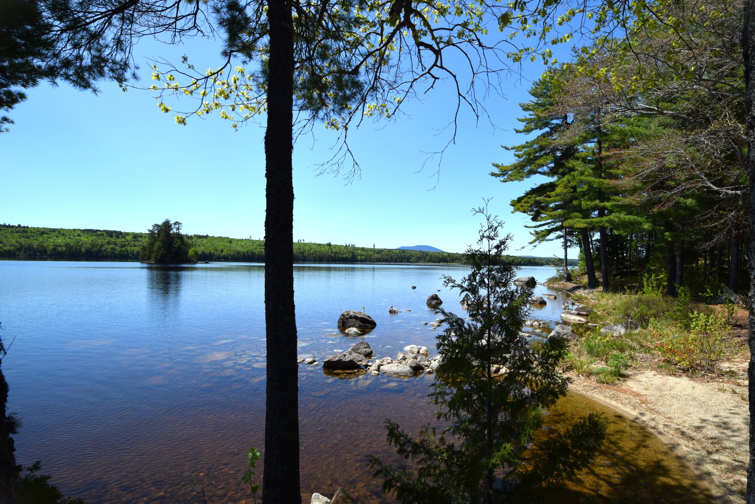 20 Granite Grove Millinocket, ME 04462 - Photo 36 of 63 Sandy Shoreline...