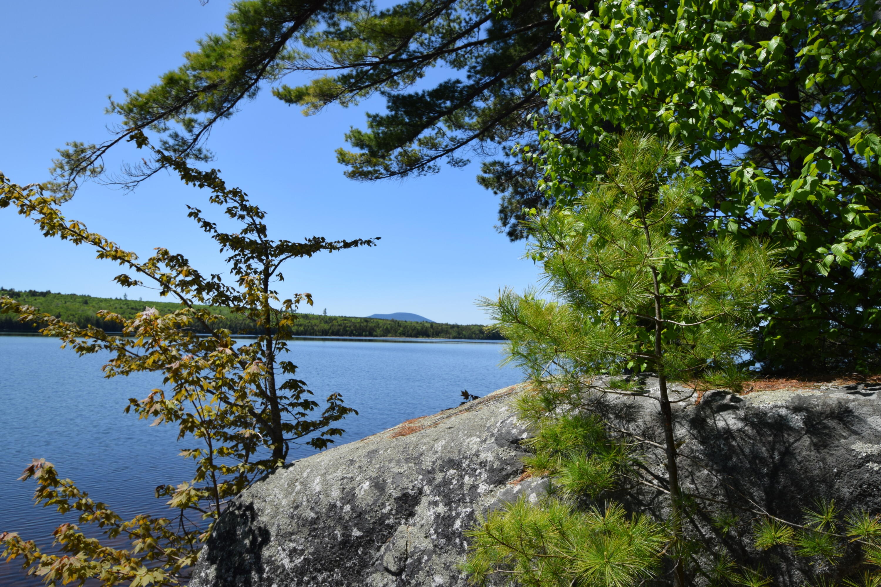 20 Granite Grove Millinocket, ME 04462 - Photo 39 of 63 Jo Mary Mountain in the Distance...