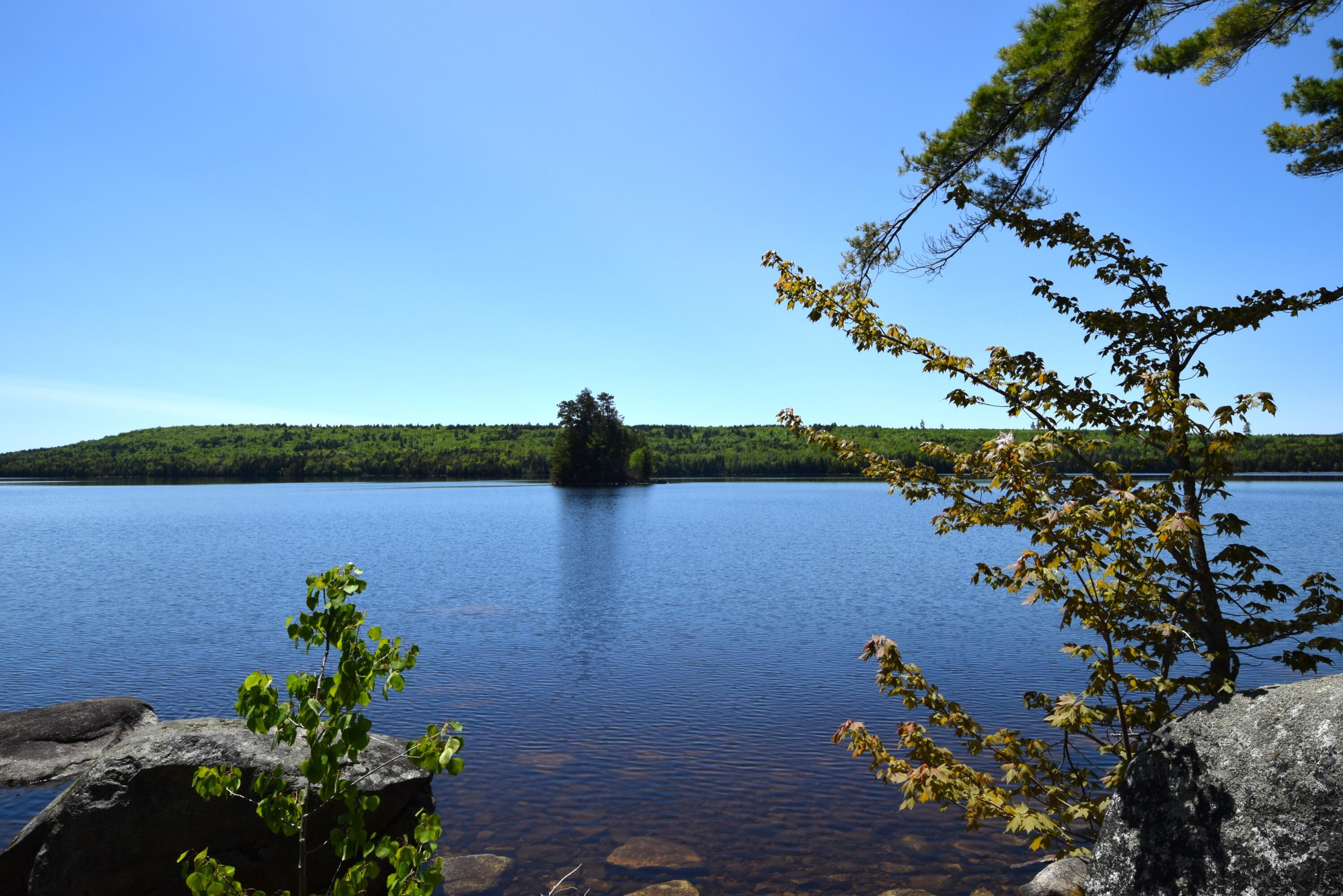 20 Granite Grove Millinocket, ME 04462 - Photo 40 of 63 Salmon, Perch, Bass, & Cusk...