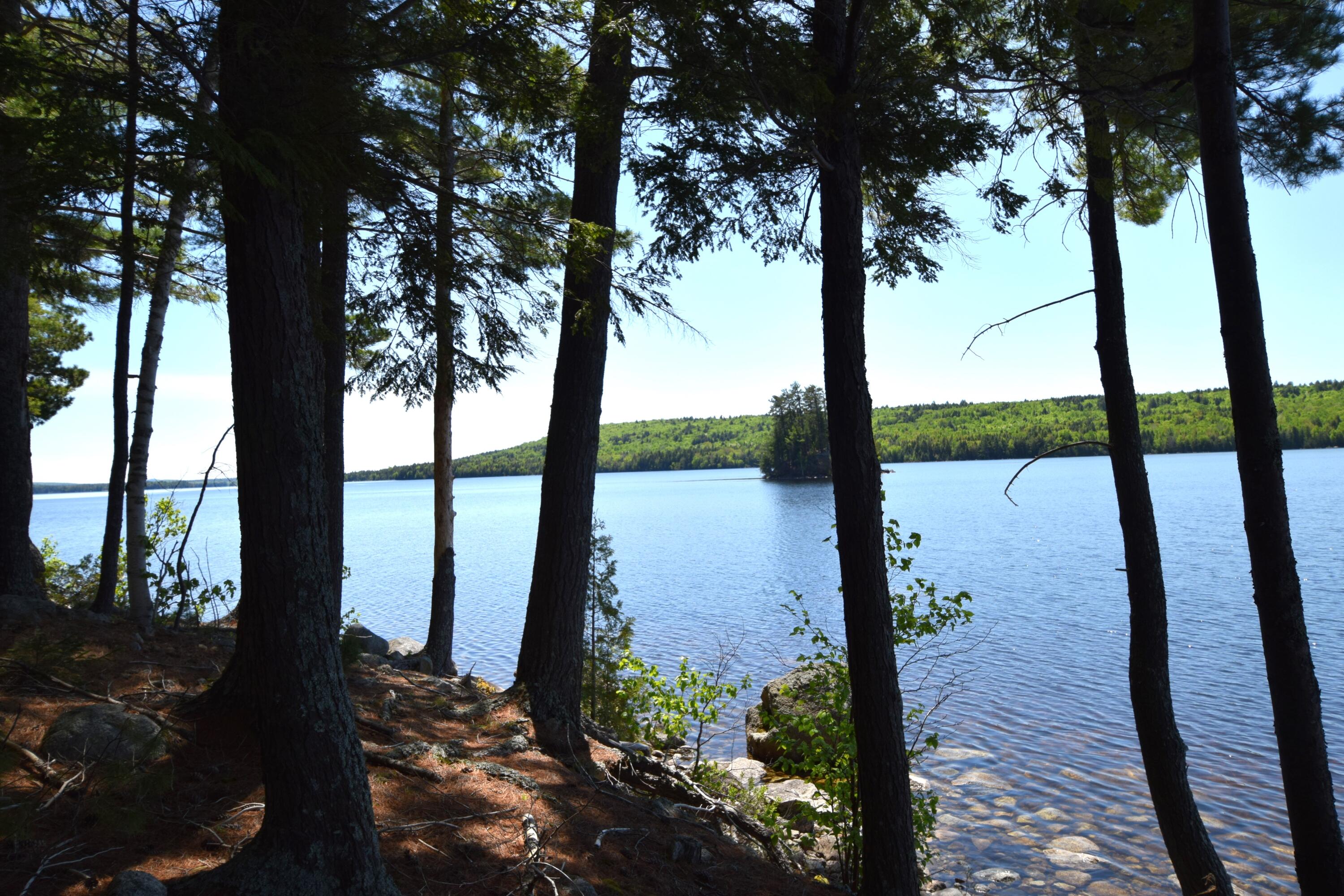 20 Granite Grove Millinocket, ME 04462 - Photo 44 of 63 Beautiful Double Lot 1.3 acres...