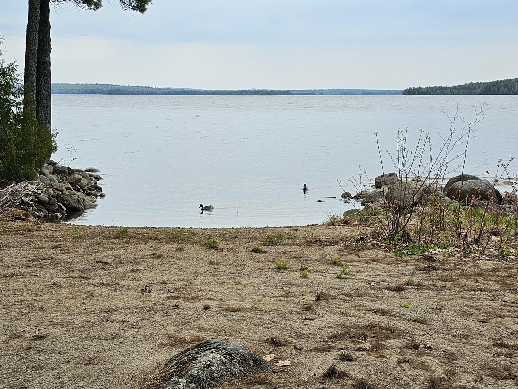 20 Granite Grove Millinocket, ME 04462 - Photo 46 of 63 Sandy Beach by Circular Driveway...